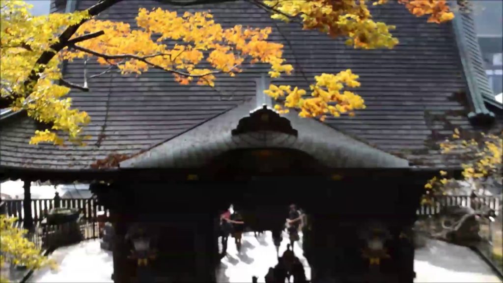 Japan Chiba Naritasan Shinshoji Temple Trip