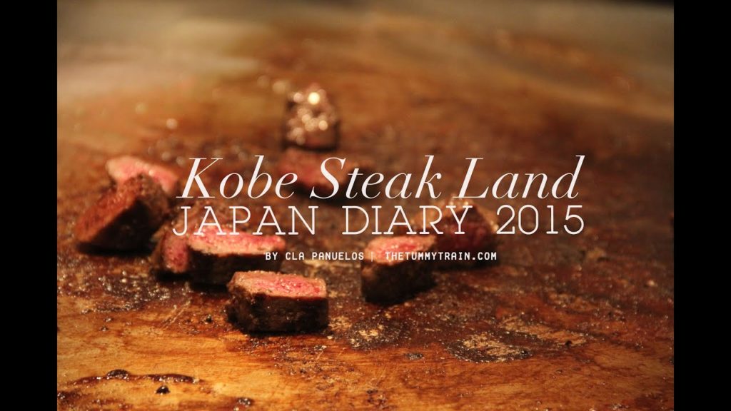 Japan Winter 2015 TRAVEL VLOG | Kobe beef at Kobe Steak Land | The Tummy Train Japan Winter 2015 TRAVEL VLOG | Kobe beef at Kobe Steak Land | The Tummy Train