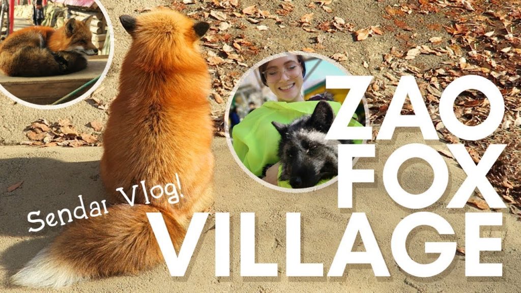 JAPAN VLOG: Arriving to Sendai and ZAO FOX VILLAGE!