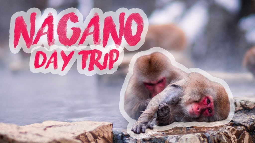 NAGANO DAY TRIP TO SEE MONKEYS IN ONSENS | Japan vlog #6 NAGANO DAY TRIP TO SEE MONKEYS IN ONSENS | Japan vlog #6