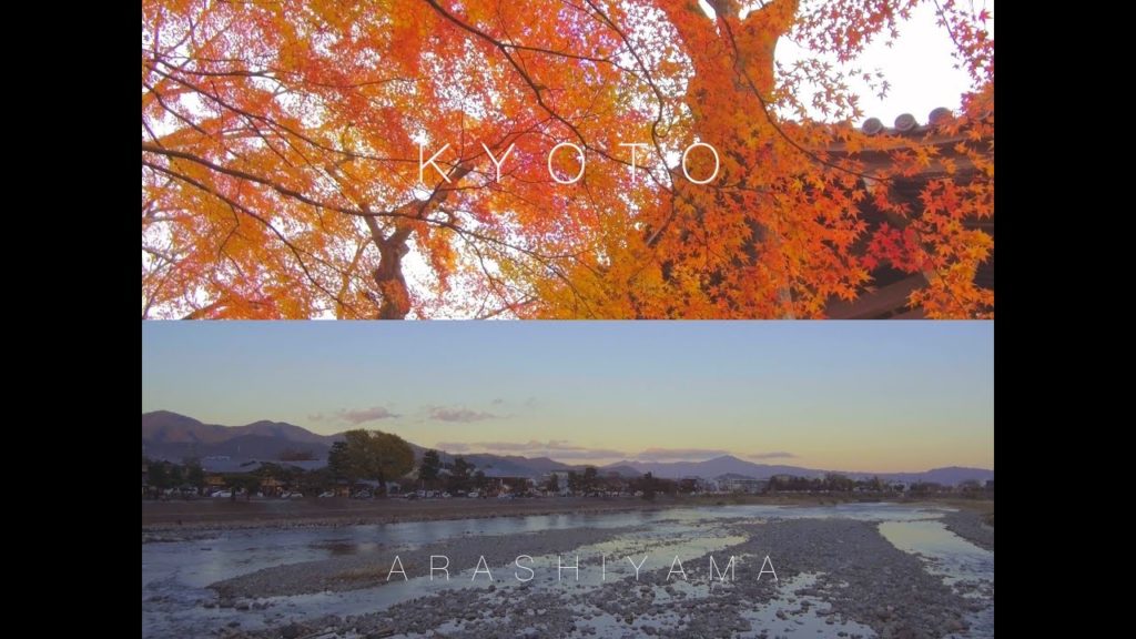 Japan Kyoto Autumn Travel Vlog | Kyoto | Arashiyama 日本 京都 嵐山 [4k Ultra HD]