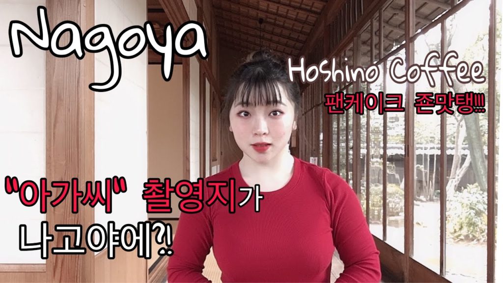 Rokkaen, Hoshino Coffee, Ekikama Kishimen/ Japan Nagoya Travel Vlog