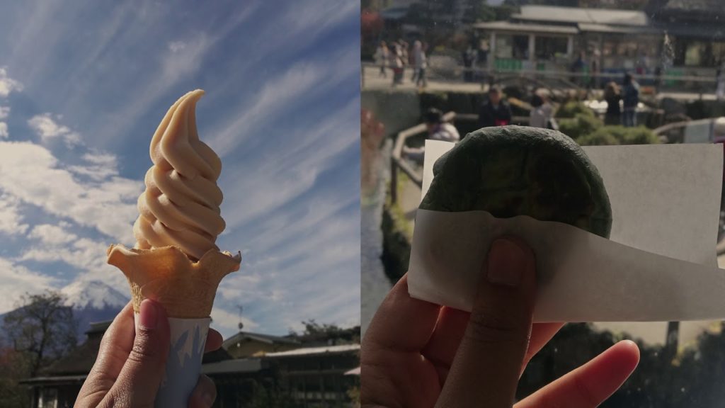PRM's Journey | Some Where in Japan II | Tokyo,Yamanashi, Chiba
