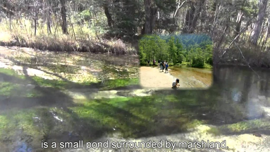 Japan Travel: Tashiro pond hiking & relax, Kamikochi, Nagano, Japan Japan Travel: Tashiro pond hiking & relax, Kamikochi, Nagano, Japan