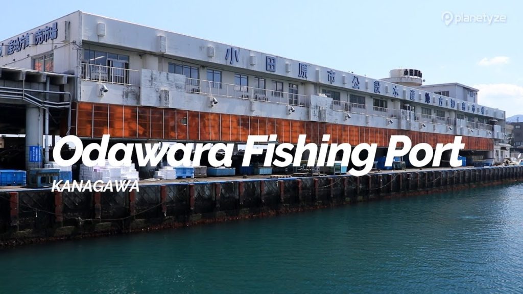 Odawara Fishing Port, Kanagawa | Japan Travel Guide Odawara Fishing Port, Kanagawa | Japan Travel Guide