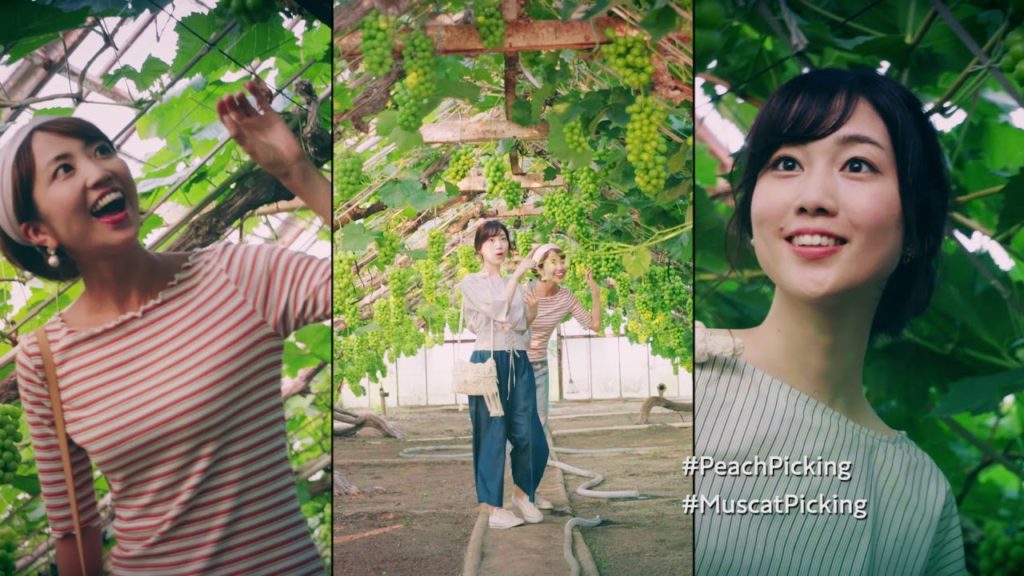 Okayama Japan ,Fruits Kingdom