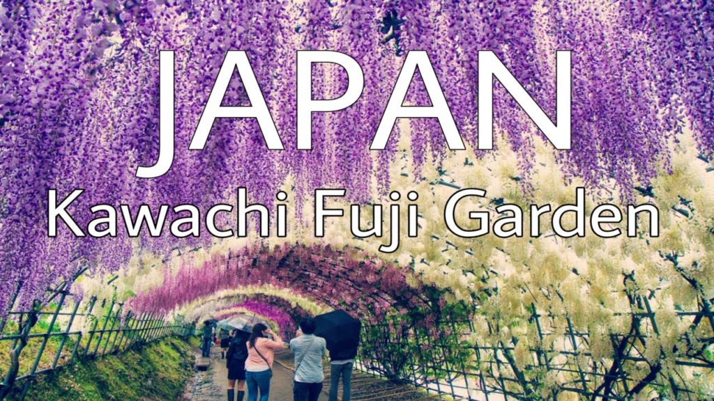 Kawachi Fujien Garden – JAPAN | TRAVEL lust Kawachi Fujien Garden - JAPAN | TRAVEL lust