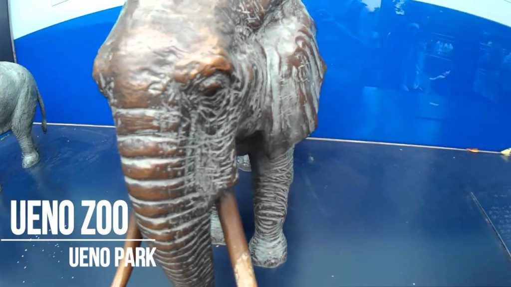 JAPAN TRIP FULL ITINERARY AND GUIDE! HOW TO GET TO MOUNT FUJI AND NIKKO!