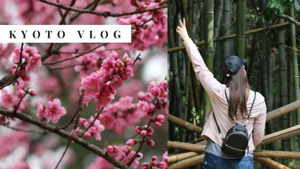 Kyoto Japan Travel Vlog 2017 🌸 Fushimi Inari Taisha, Bamboo Forest, EATING ALL THE THINGS