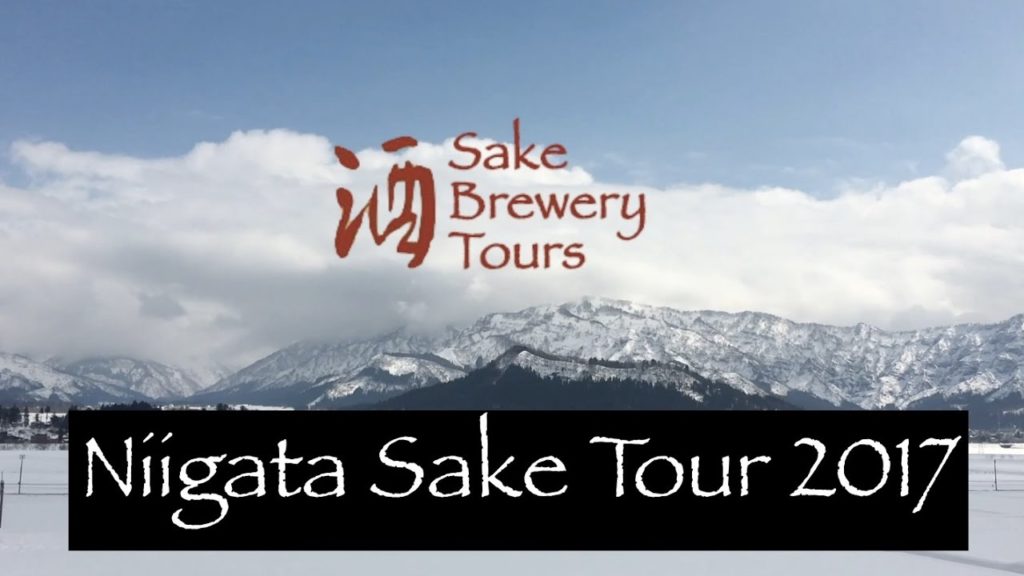 Niigata Sake Tour - Sake Brewery Tours