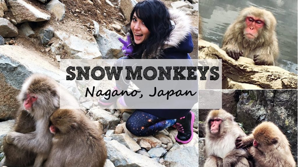 Japan Travels 2016: Nagano Snow Monkeys Japan Travels 2016: Nagano Snow Monkeys