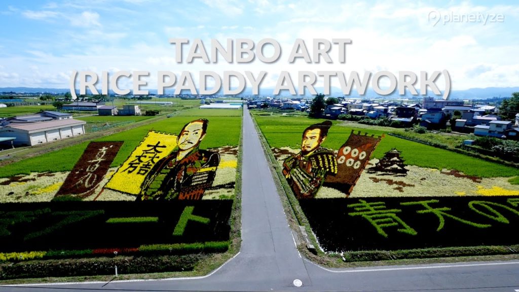 Tanbo Art (rice paddy artwork),  Aomori | One Minute Japan Travel Guide