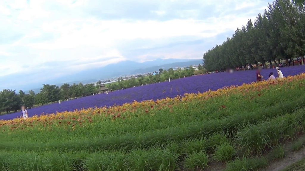 japan travel video - furano