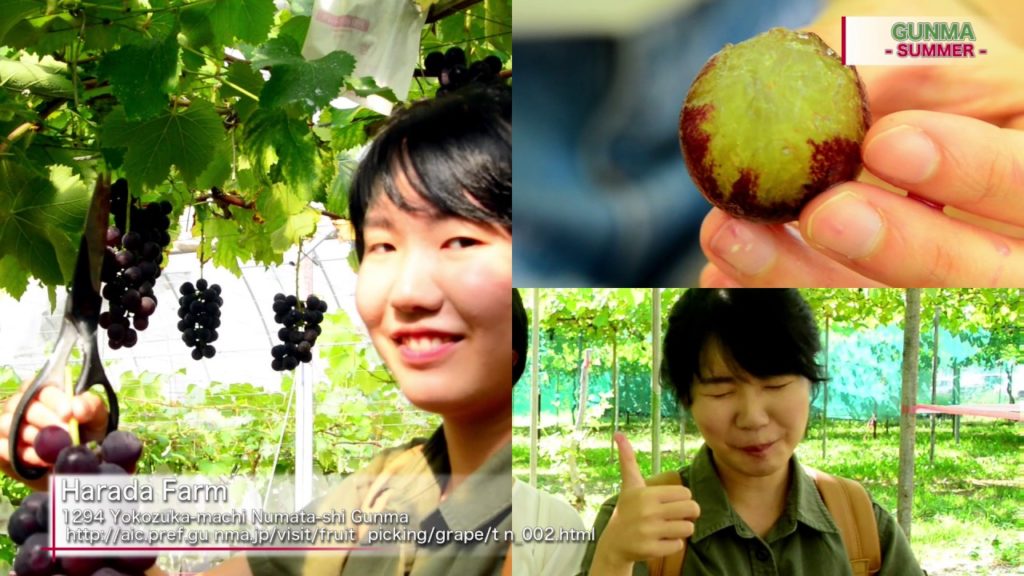 「Thai girls visiting the wonder of Japan ; All about Niigata Gunma Saitama 」