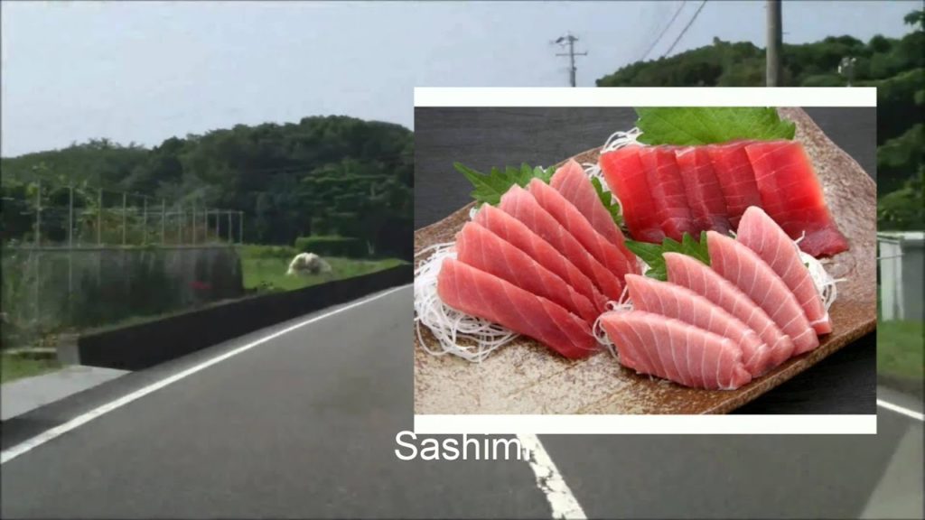 Japan Travel: Aquarium, Lighthouse, Museum, and Much Much More in Kushimoto, Wakayama 15