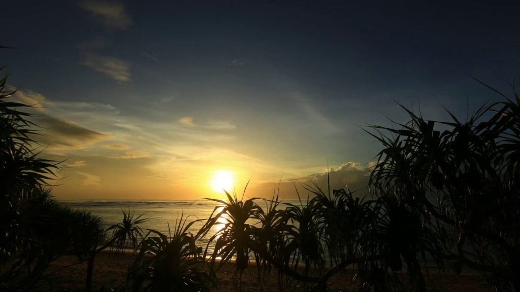 Kagoshima Japan 1 Minute Travel Amami Oshima