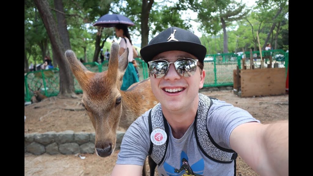 TRAVEL VLOG | OSAKA | JAPAN TRAVEL VLOG | OSAKA | JAPAN