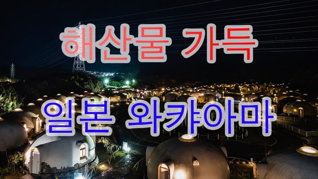 일본여행 와카야마 여행 다녀왔습니다.(노잼주의)