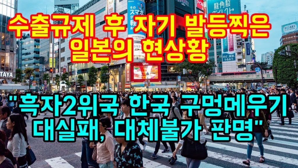 수출규제 후 자기 발등찍은 일본의 현상황  "흑자2위국 한국 구멍메우기 대실패, 대체불가 판명"