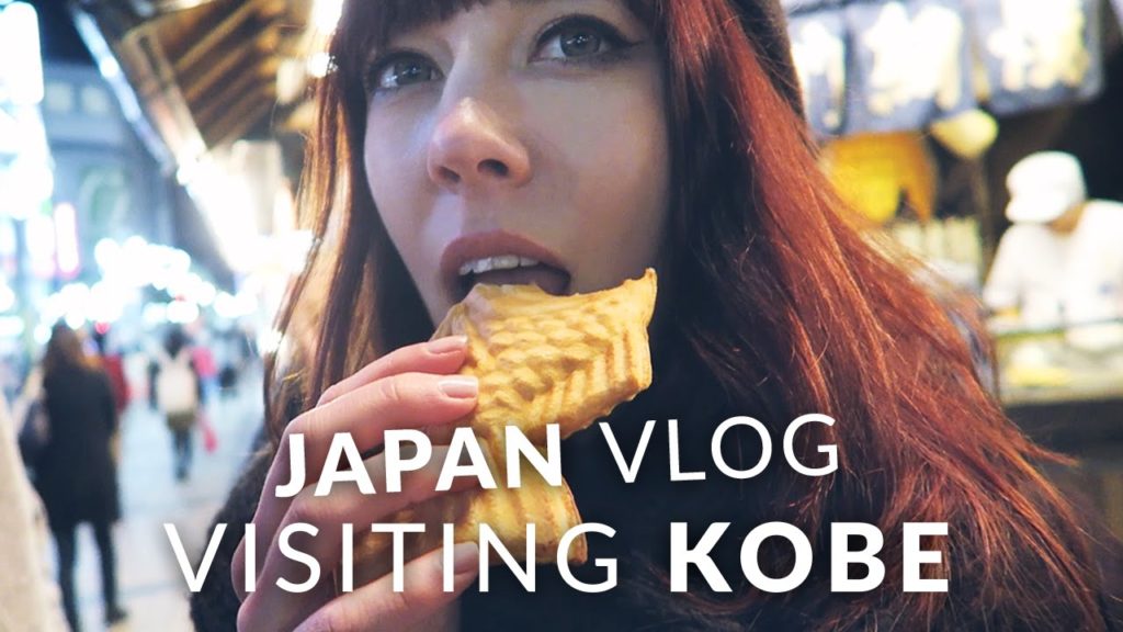 Japan Vlog - Evening trip to Kobe