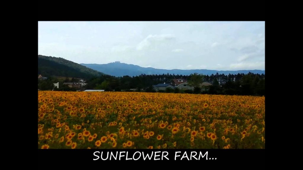 Hokkaido 2014 (Sapporo, Noboribetsu, Lake Toya, Otaru and Furano)