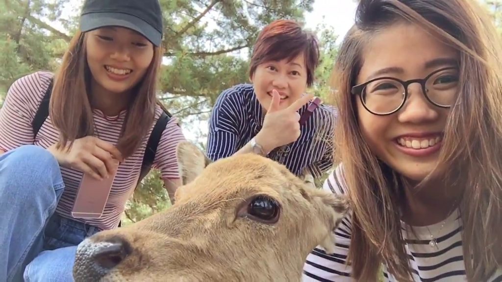 KANSAI, Japan Vlog 2017 (I) - Nara, Himeiji, Kobe, Osaka