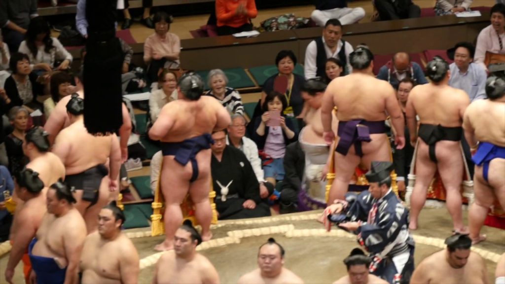 I Came to the Sumo Wrestling in Tokyo, Japan