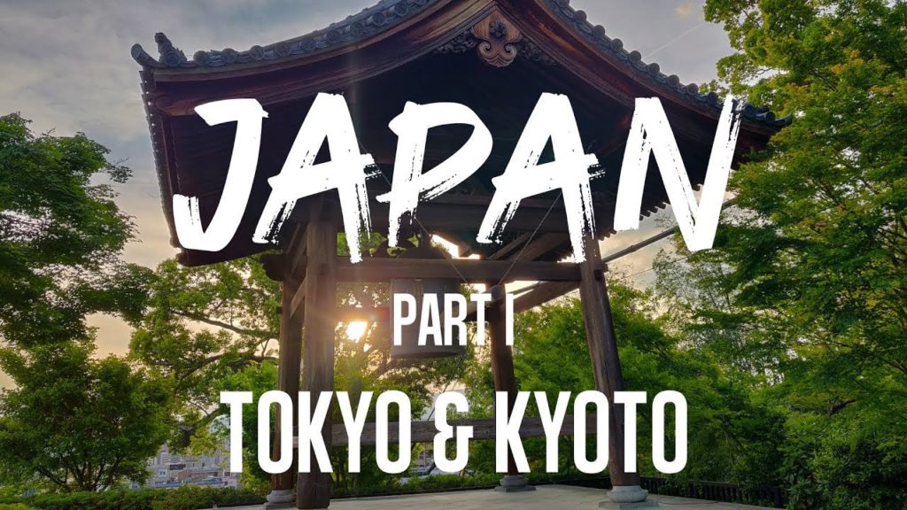JAPAN TRAVEL - Part I - Tokyo & Kyoto | Dji Osmo Pocket