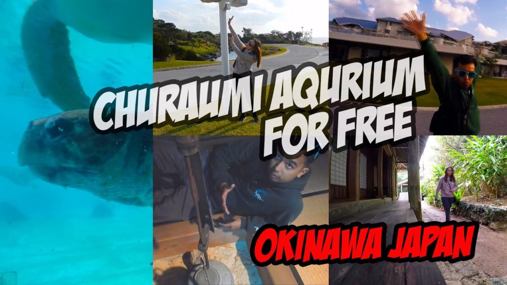 How to Enjoy the Churaumi Aqurium for free | Couple Travel Vlog | Okinawa Japan How to Enjoy the Churaumi Aqurium for free | Couple Travel Vlog | Okinawa Japan