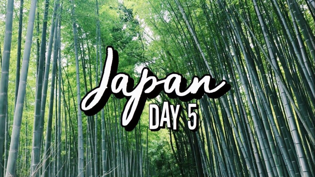 Japan Travel Vlog - Day 5/Kyoto/Arashiyama/Kinkaku-ji/Nara/Kobe Harborland