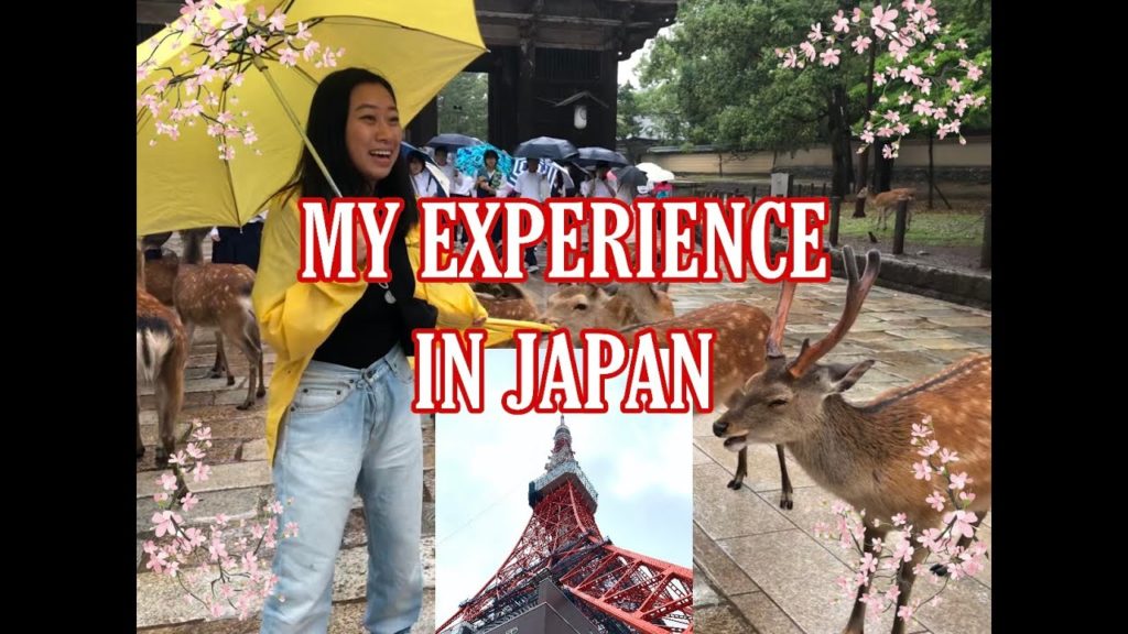MY EXPERIENCE IN JAPAN – THINGS TO DO IN NAGOYA, KYOTO, OSAKA, & TOKYO MY EXPERIENCE IN JAPAN - THINGS TO DO IN NAGOYA, KYOTO, OSAKA, & TOKYO