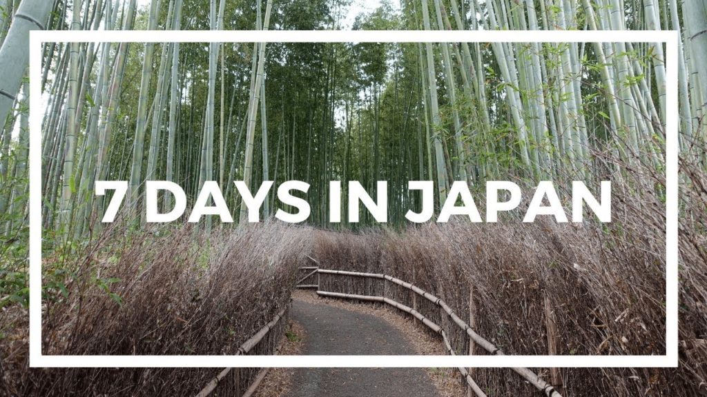 Tokyo | Mount Fuji | Osaka | Kyoto | Travel Highlights