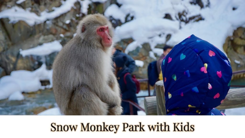 Snow Monkey Park with Kids! // Japan Family Travel Snow Monkey Park with Kids! // Japan Family Travel