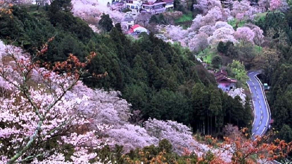 Japan Travel: Koyasan and its Pilgrimage Trails, Wakayama 21