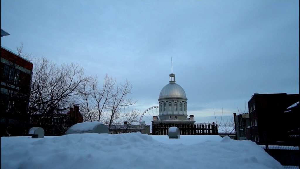 #889 Welcome to MONTREAL Canada! - Jordan The Lion Daily Travel Vlog (1/12/19)