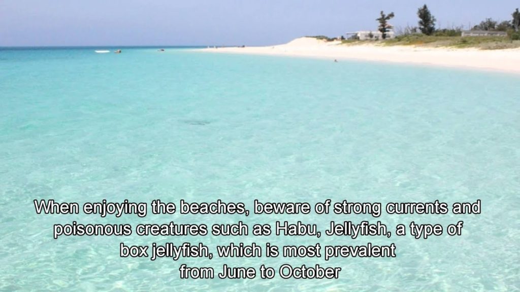 Japan Travel: Maehama Beach( Yonaha-Maehama) Miyako Island28