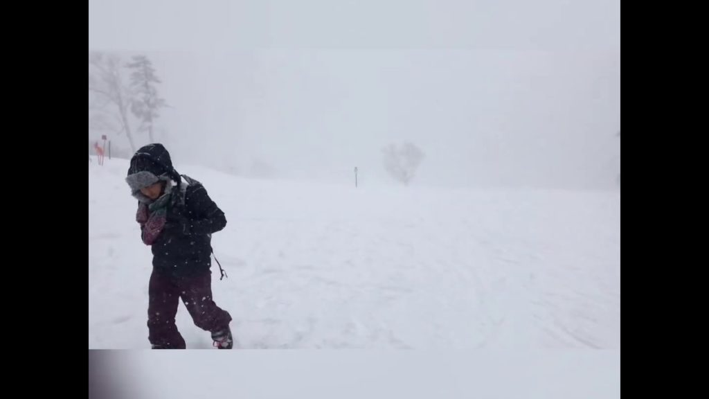 Hokkaido - Winter (feb 2019) Sapporo/Hakodate/Asahikawa/Furano/Kamikawa/Noboribetsu/Shiretoko-Sarri