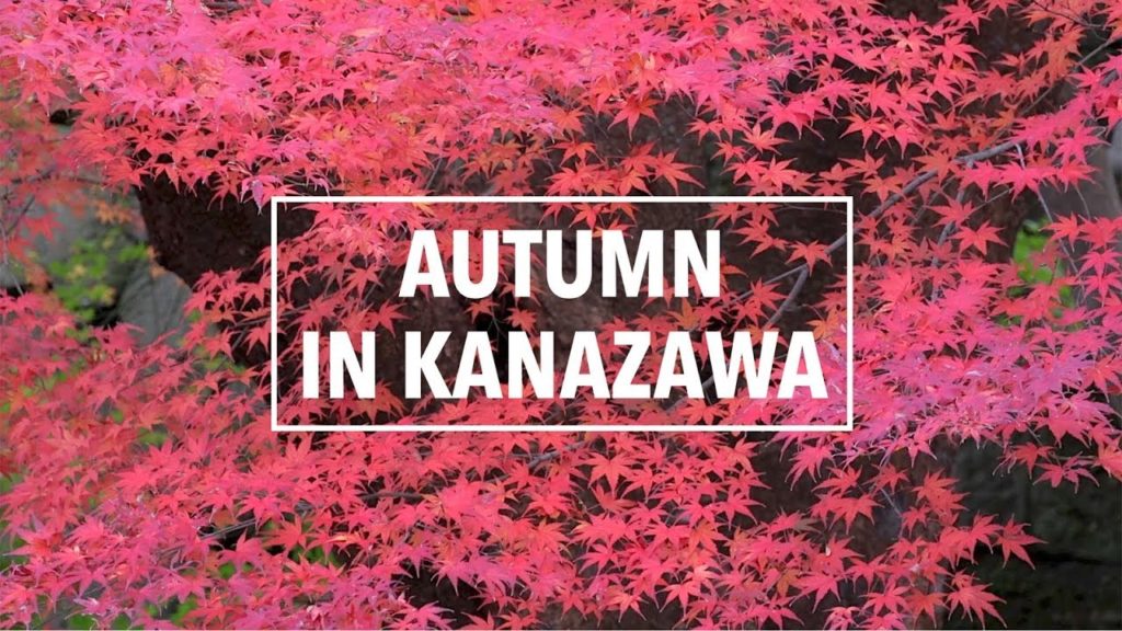 Autumn in Kanazawa City 金沢 | A Japan Travel Film