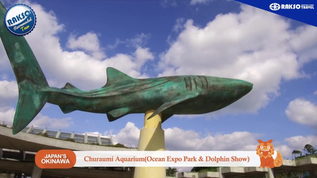 Day 2 in Okinawa, Japan!