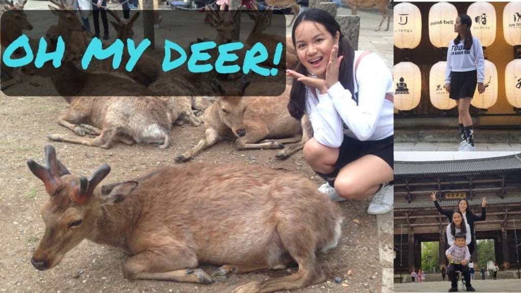 Sleepy and hungry DEER! in Nara Park Day 2 Osaka Travel vlog