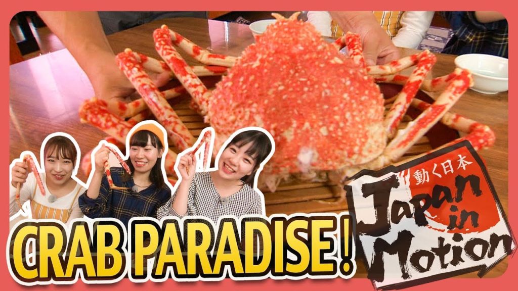 静岡観光　アクティビティ編 Part-2　Japan in Motion S15#15 "Shizuoka"