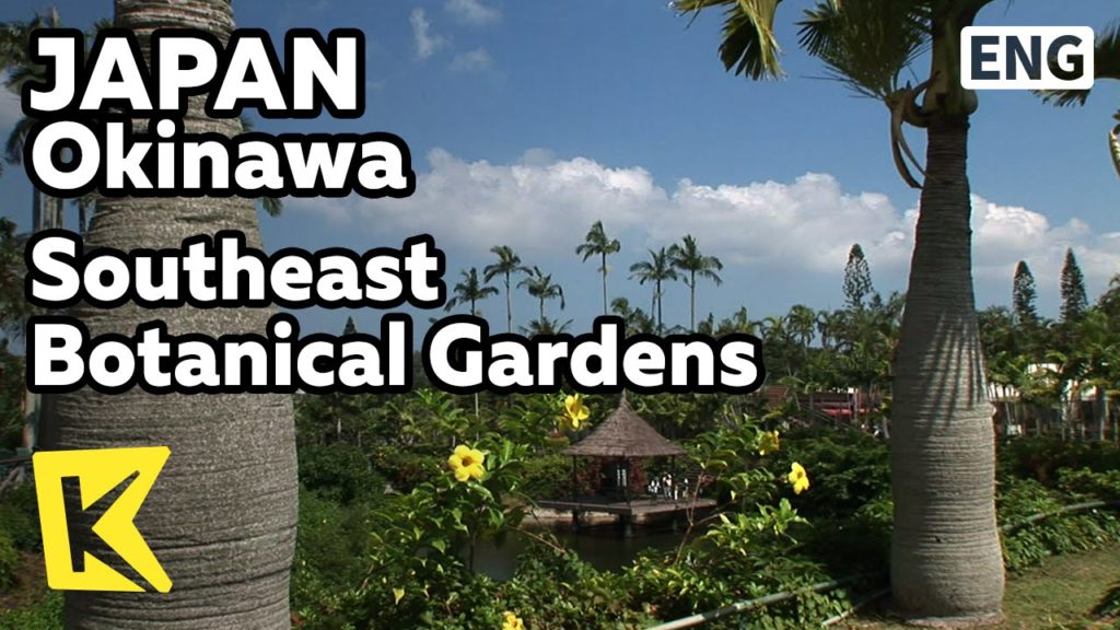 【K】Japan Travel-Okinawa[일본 여행-오키나와]열대 식물의 천국, 동남식물낙원/Tropical plant/Southeast Botanical Gardens