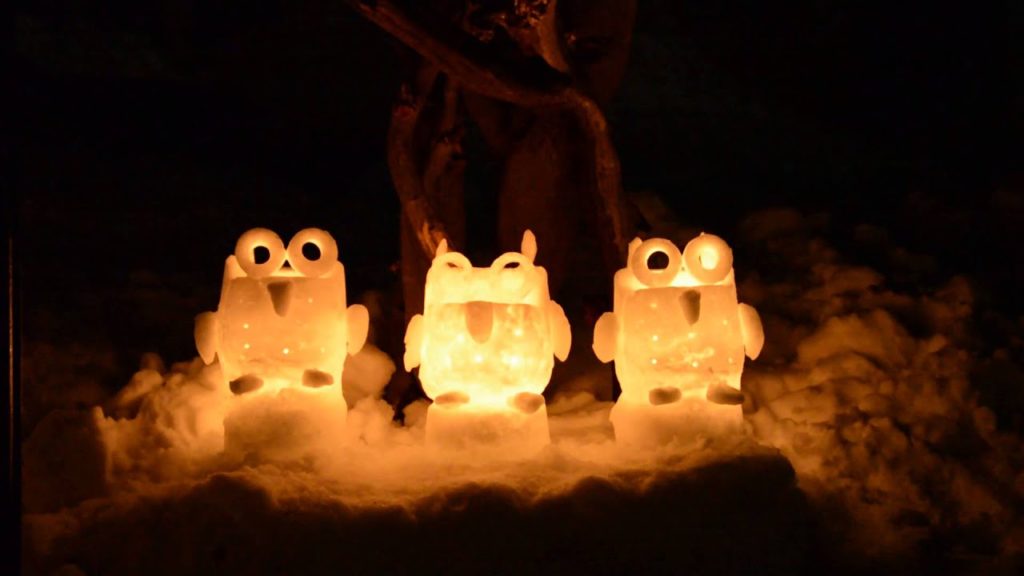 Travel Otaru 【小樽　観光】フクロウキャンドルに癒される　冬のイベント雪あかり　手宮線会場