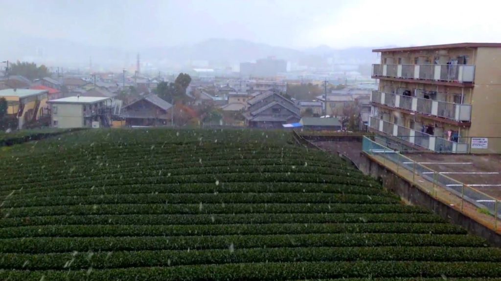 Snow at shizuoka (japan) 2017 ( শিজুওকার তুষারপাত ২০১৭, জাপান )
