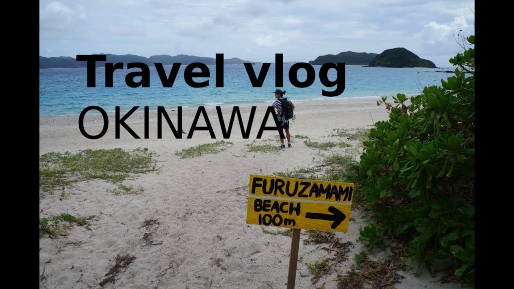 Travel vlog 14: Swimming with sea turtles and dark nemo in Okinawa – Salt in my nose Travel vlog 14: Swimming with sea turtles and dark nemo in Okinawa - Salt in my nose