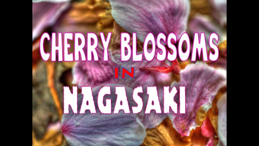 Cherry Blossoms in Nagasaki 4K