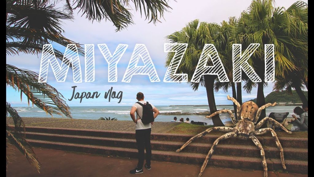 Japan travel in Miyazaki  |  Hunted by a japanese spider!  (宮崎県) Japan travel in Miyazaki  |  Hunted by a japanese spider!  (宮崎県)