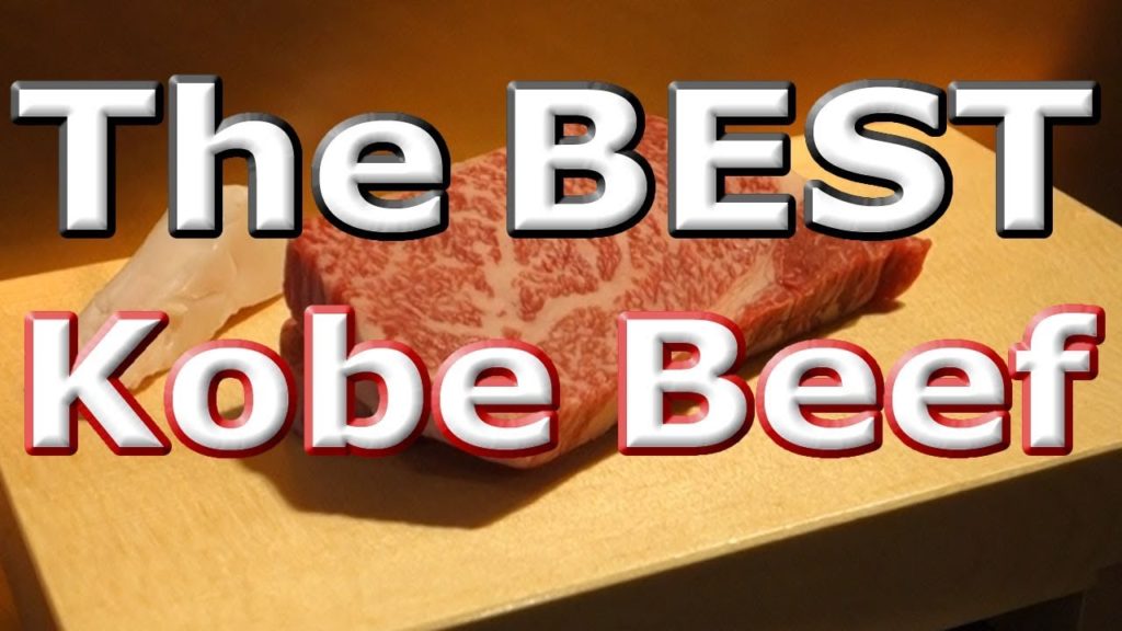 Best Meal in the World! Kobe Beef in Japan