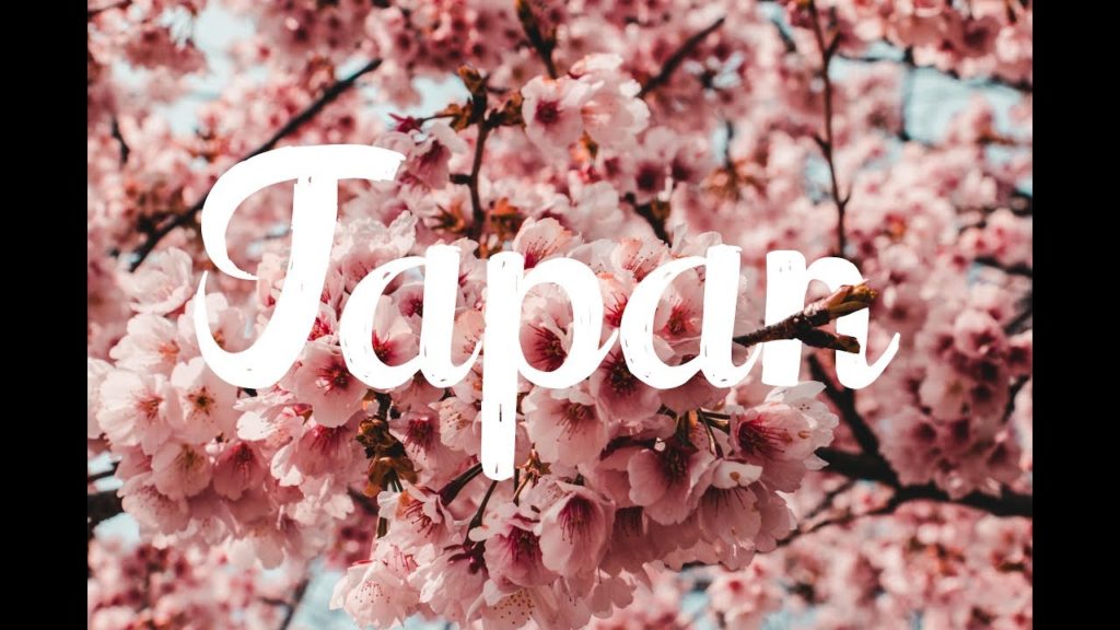 Lost in Japan | Nagoya and Kyoto Vlog!