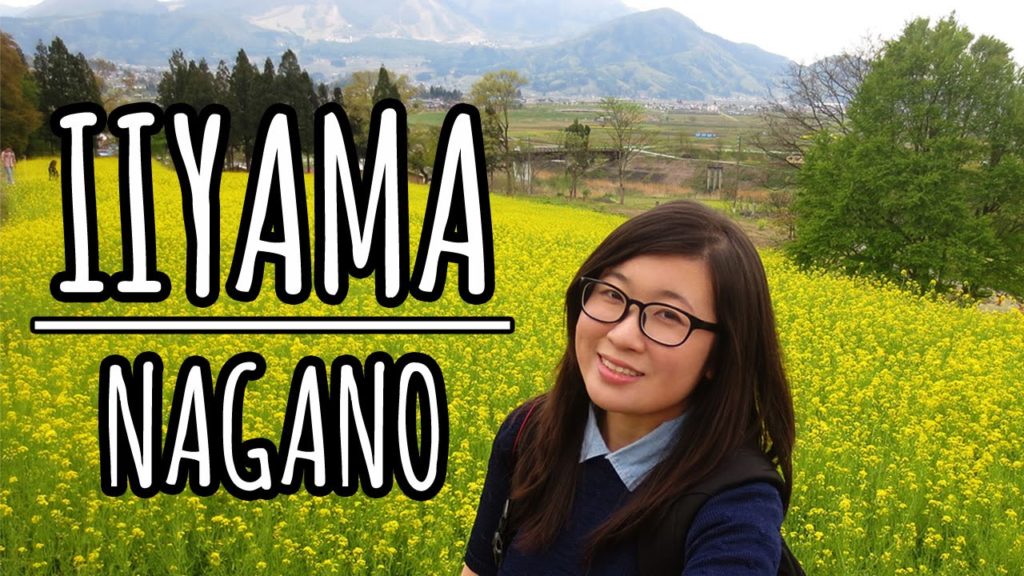 Explore Japan's Countryside in Iiyama, Nagano [ft. Iiyama Nanohana Park etc 飯山市 長野県]